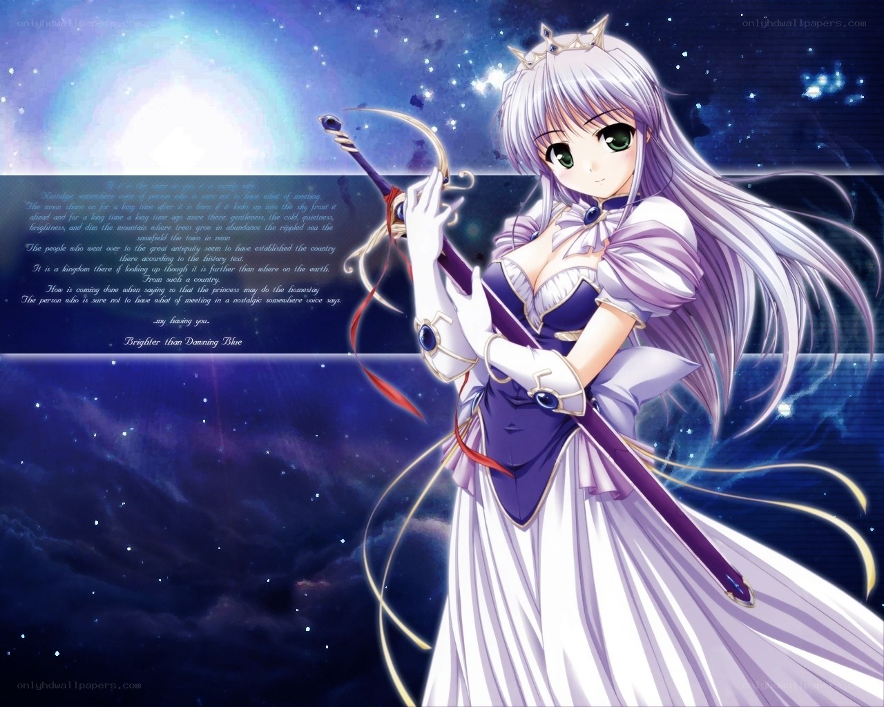 princess with sword in starry sky