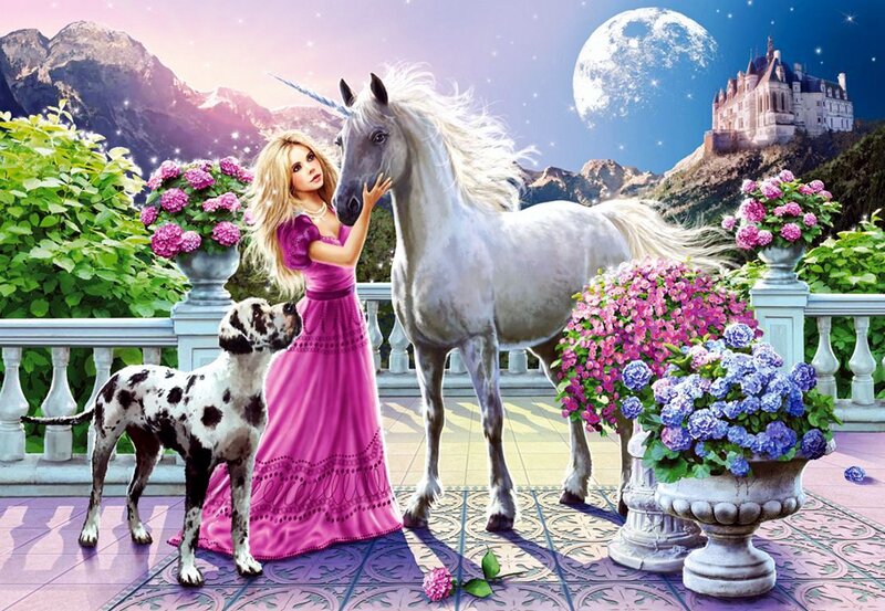 Princess with Unicorn — Pink, Fantasy
