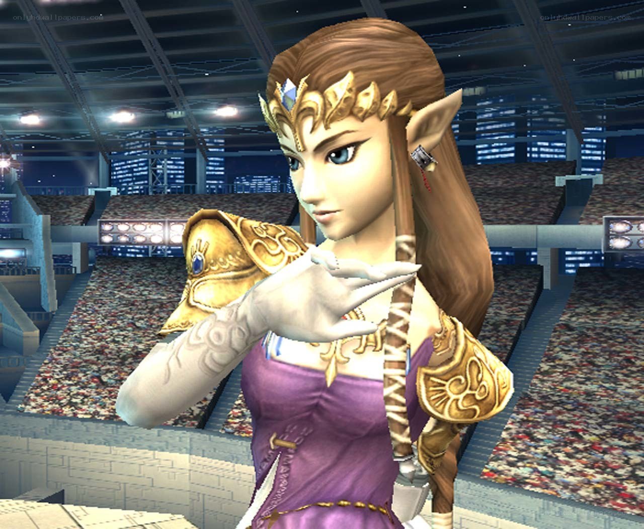 Princess Zelda in stadium