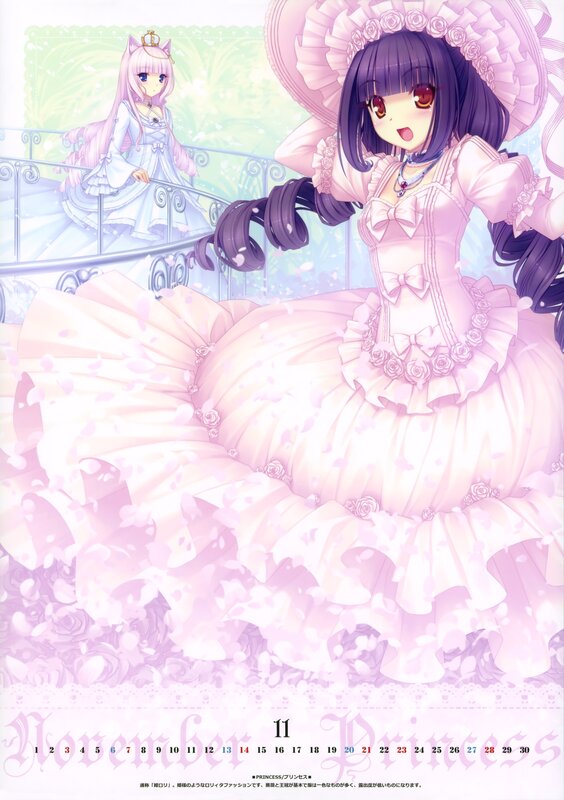 Princesses in pink dresses