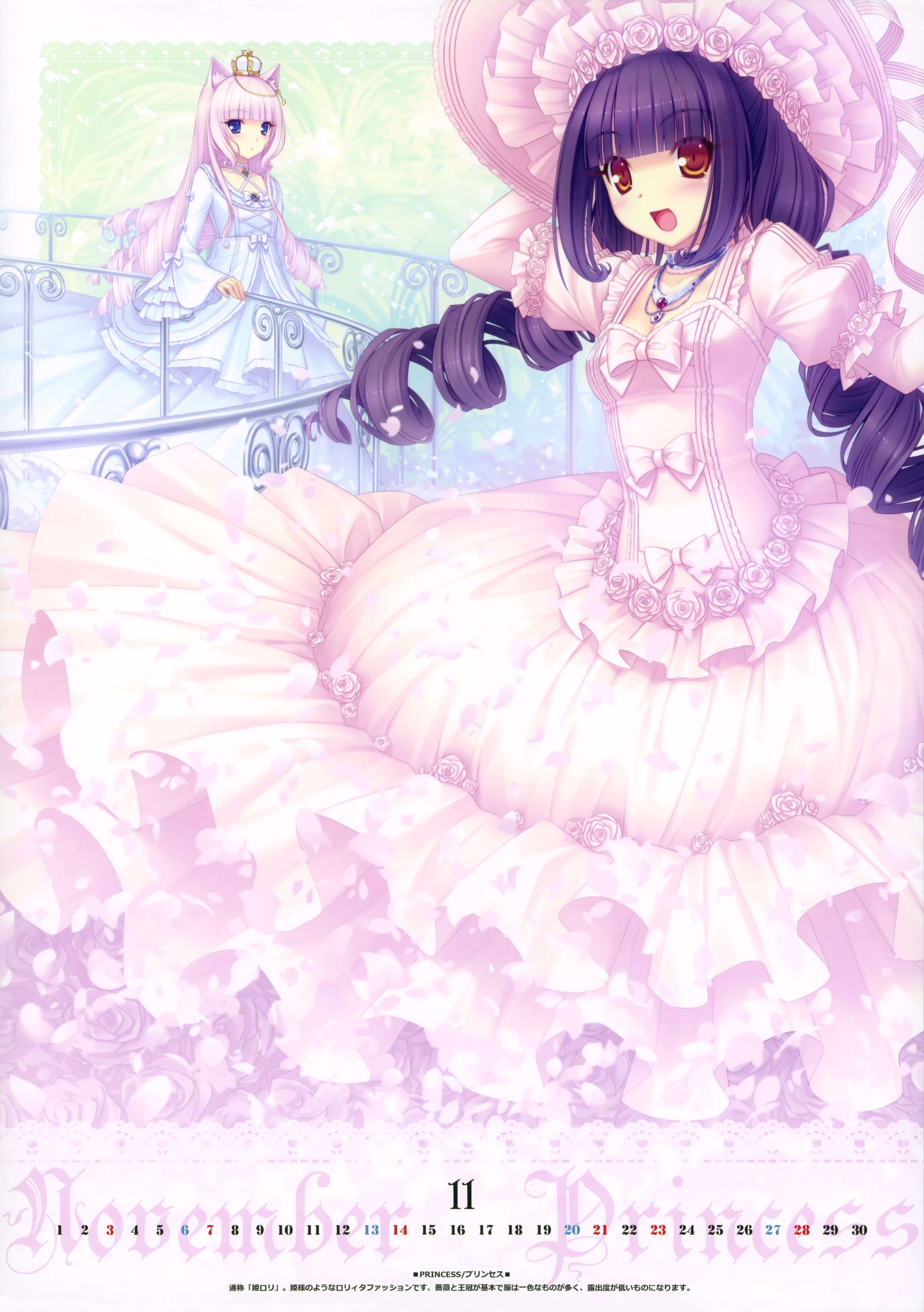 Princesses in pink dresses
