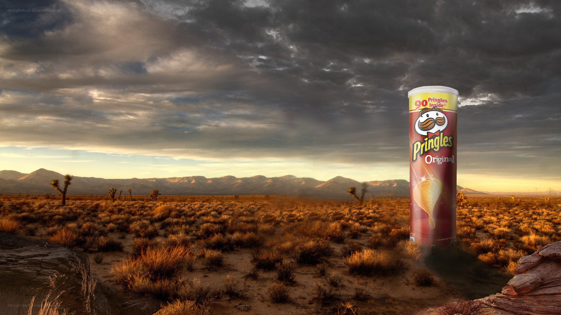 Pringles in the desert