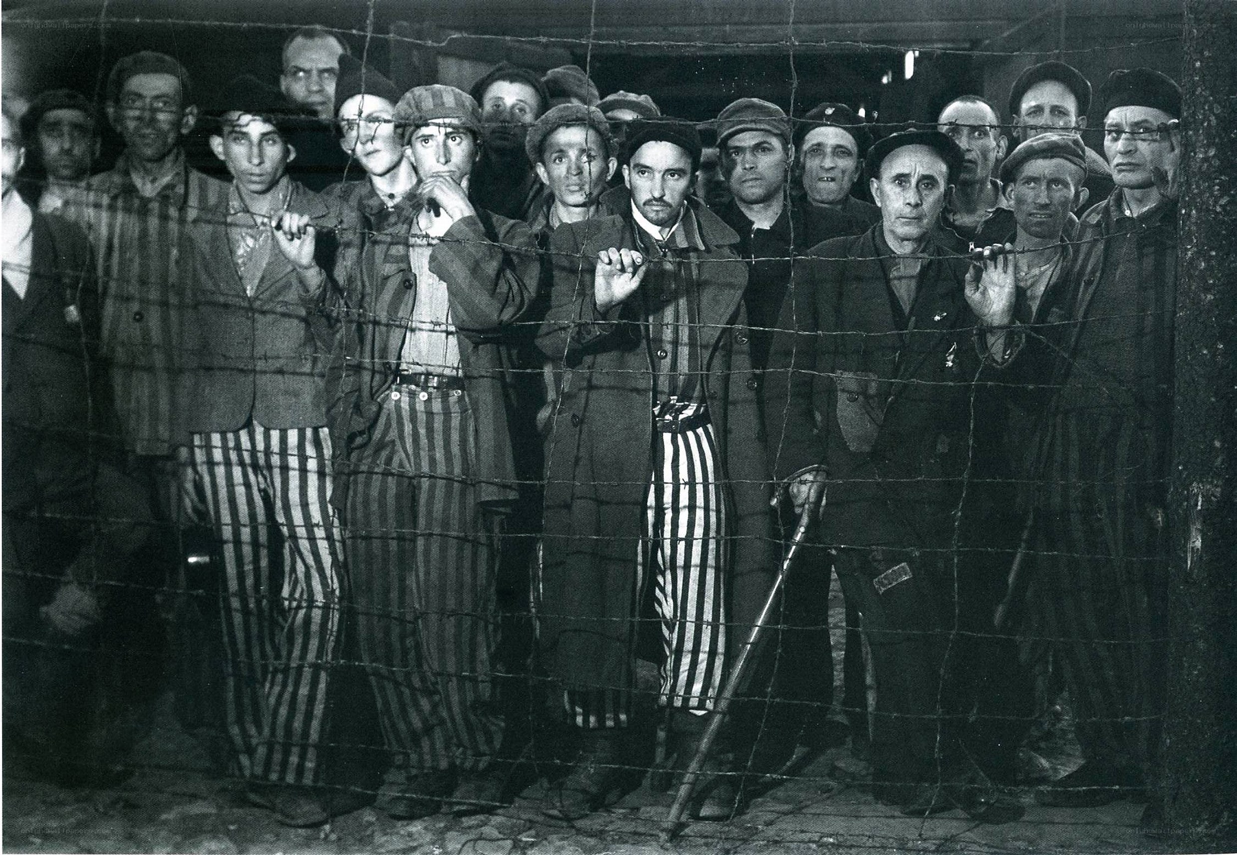 Prisoners behind barbed wire