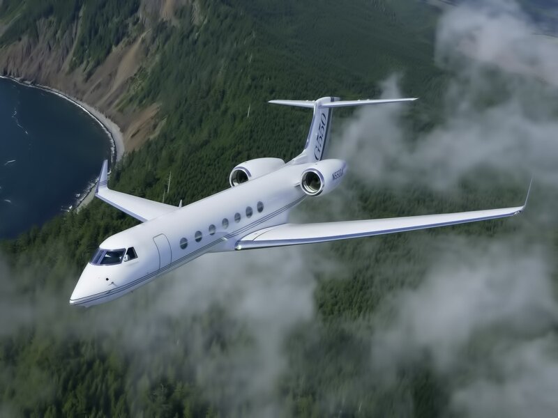 Private Jet in Flight — White, Serene, Afternoon, Photograph, Forest