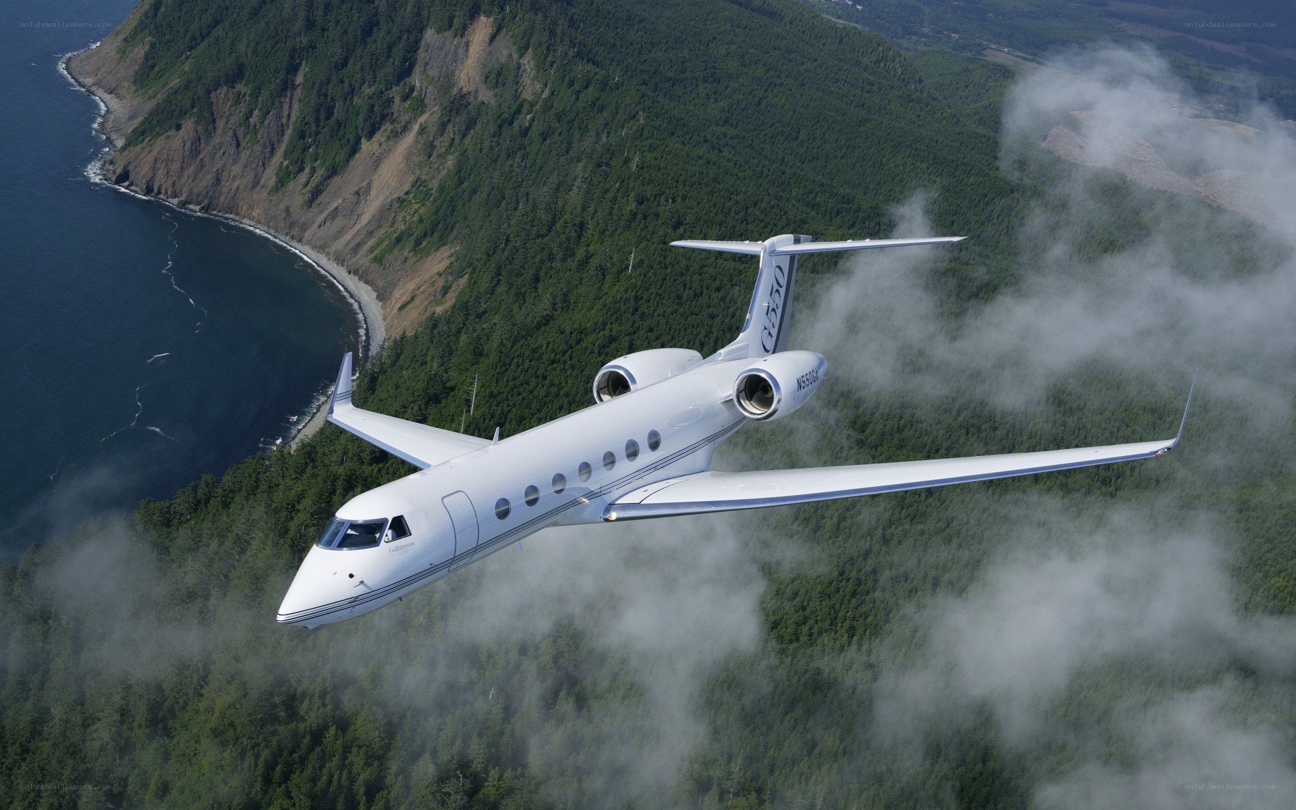 private jet over coastal forest