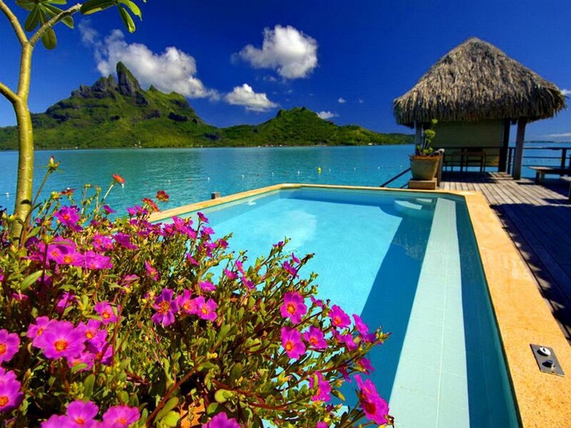 Private Pool with Flowers