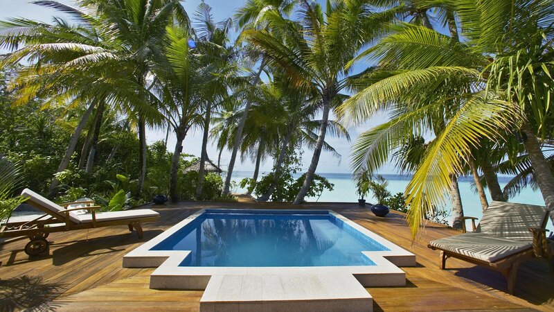 Private Pool with Lounge Chairs — Blue, Serene, Afternoon, Photograph, Palm Trees
