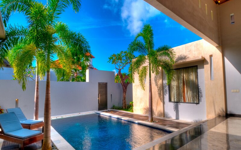 Private Pool with Palm Trees — Blue