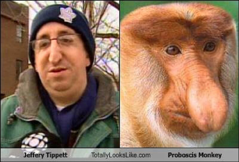 Proboscis Monkey — Green