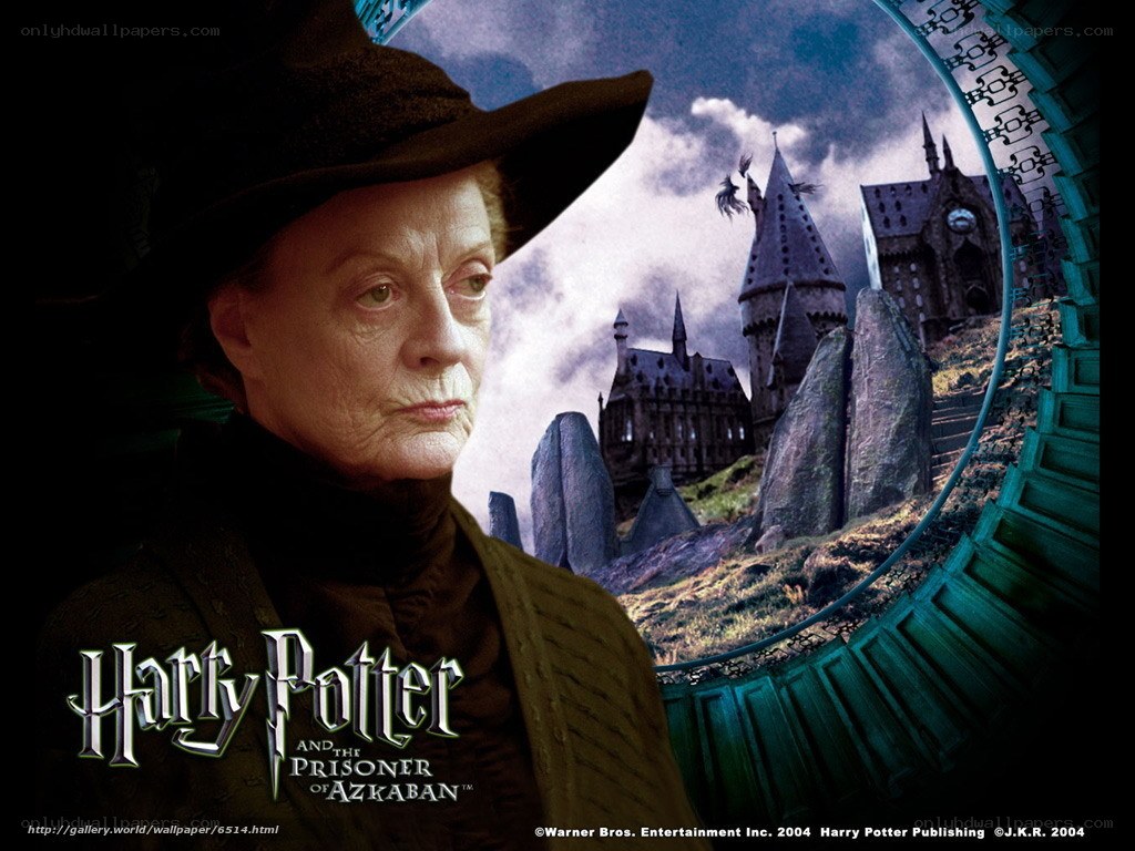 Professor McGonagall at Hogwarts