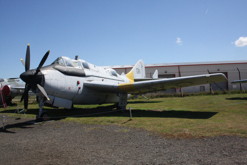 Propeller Airplane on Grass