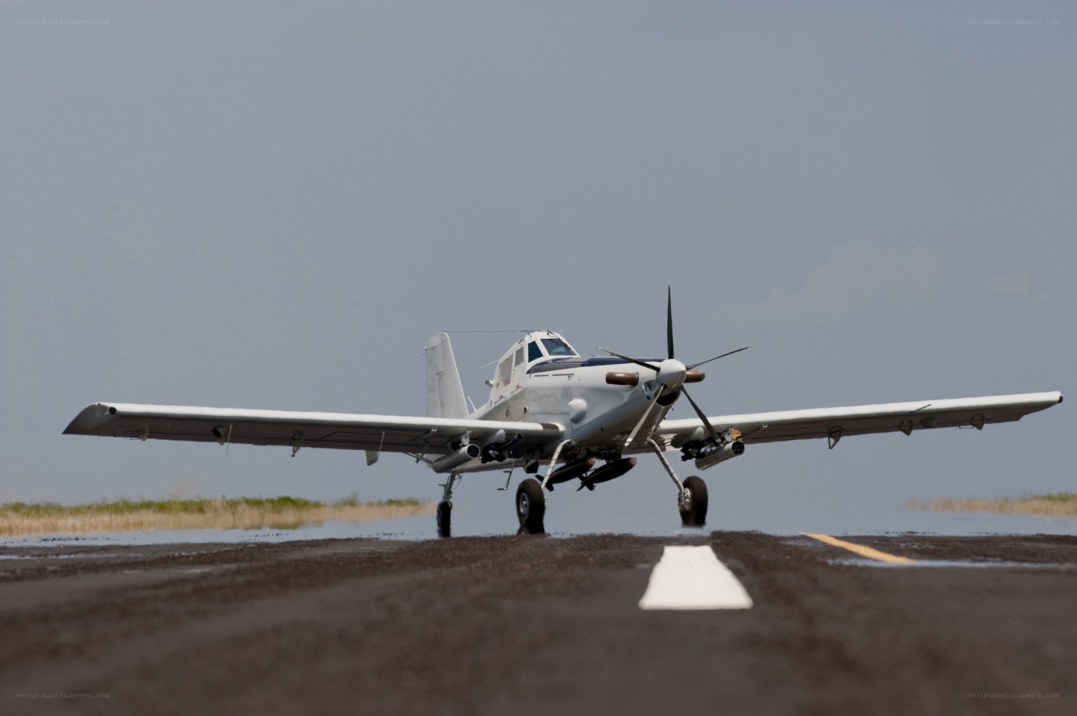 propeller plane on runway
