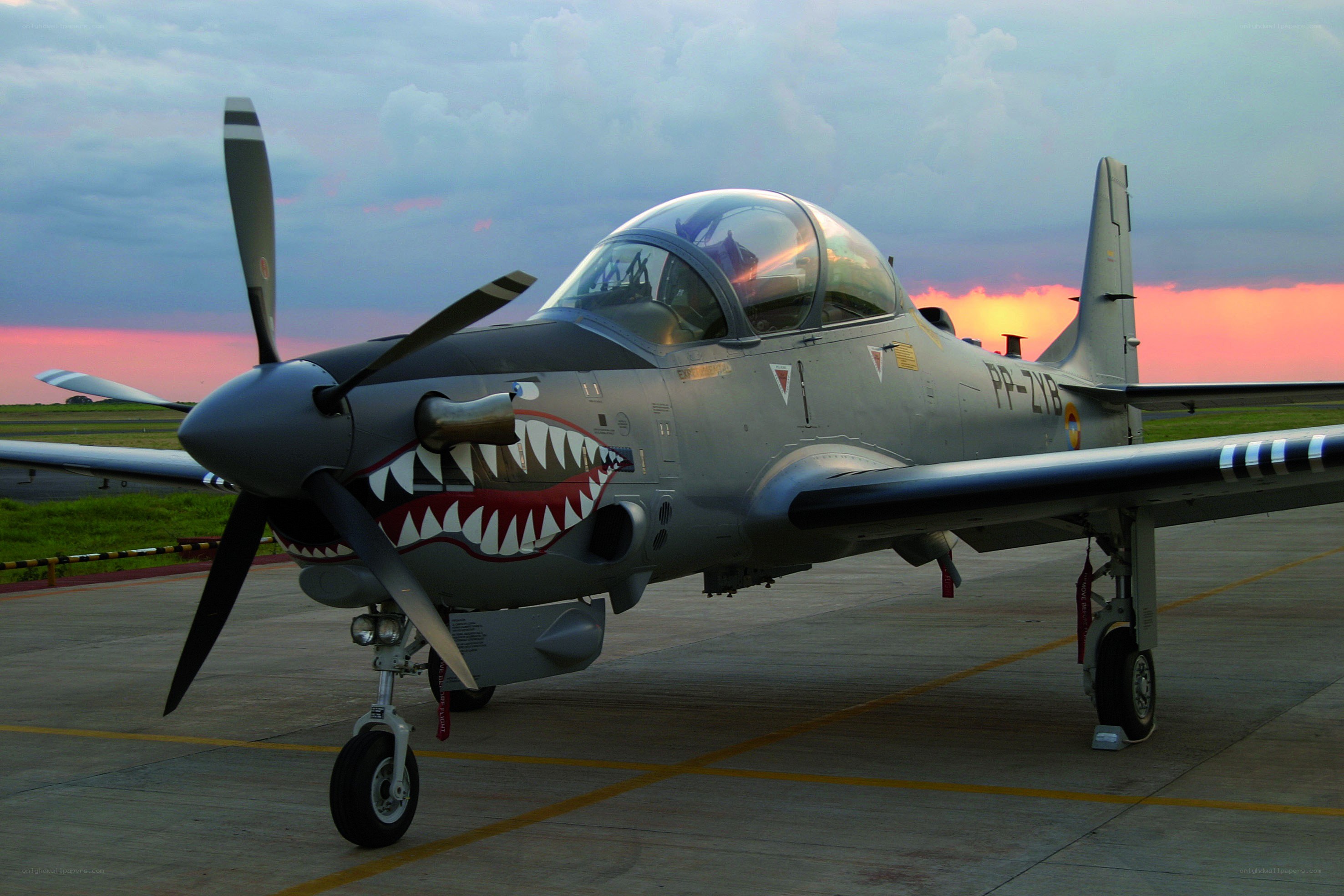 propeller plane with shark teeth