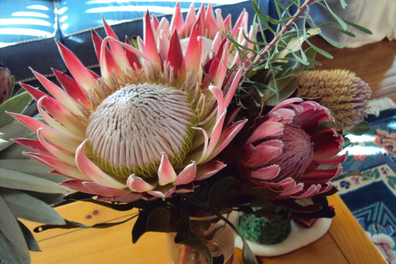 Protea Flower Bouquet — Pink