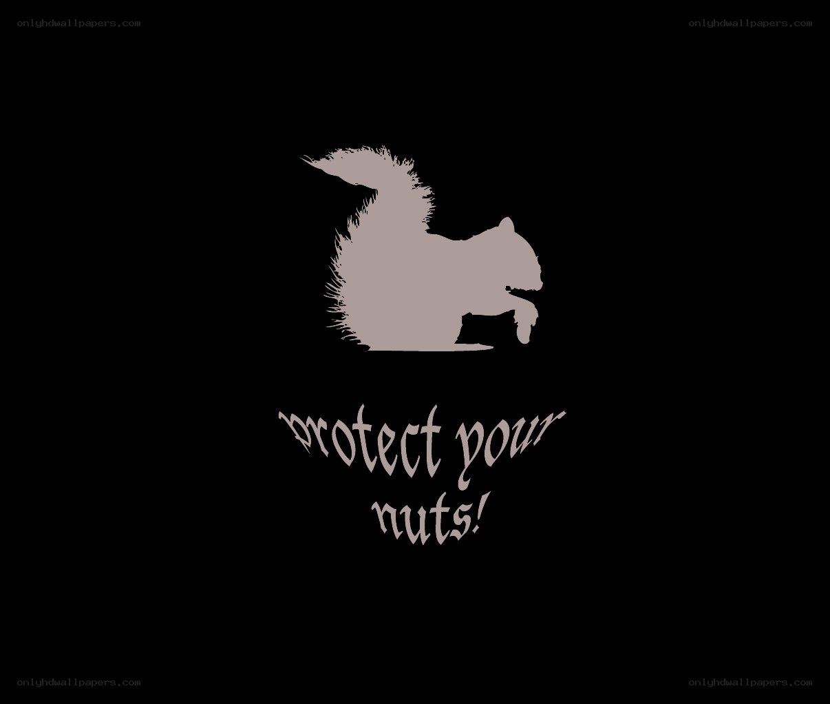 protect your nuts