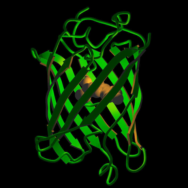 protein structure with bound ions