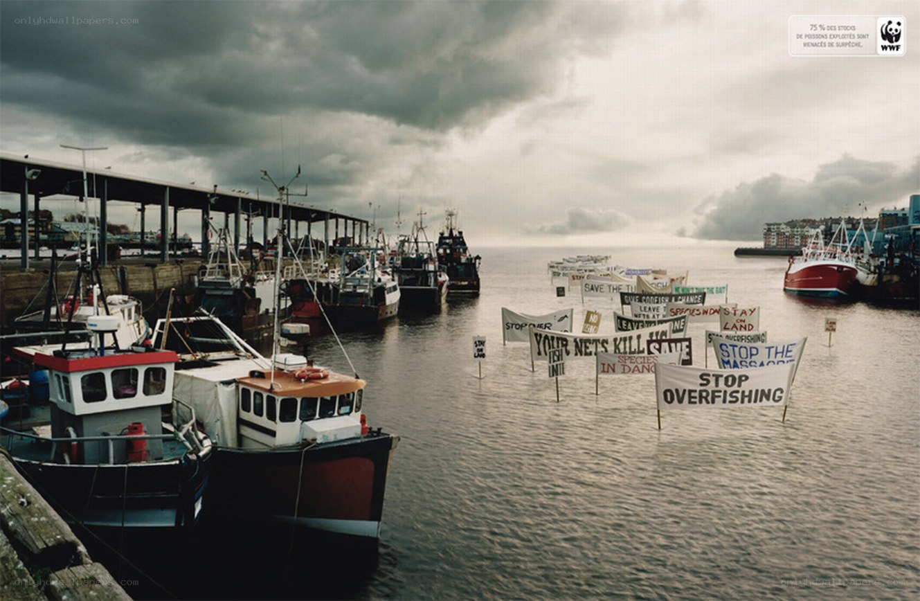 Protest against overfishing in harbor