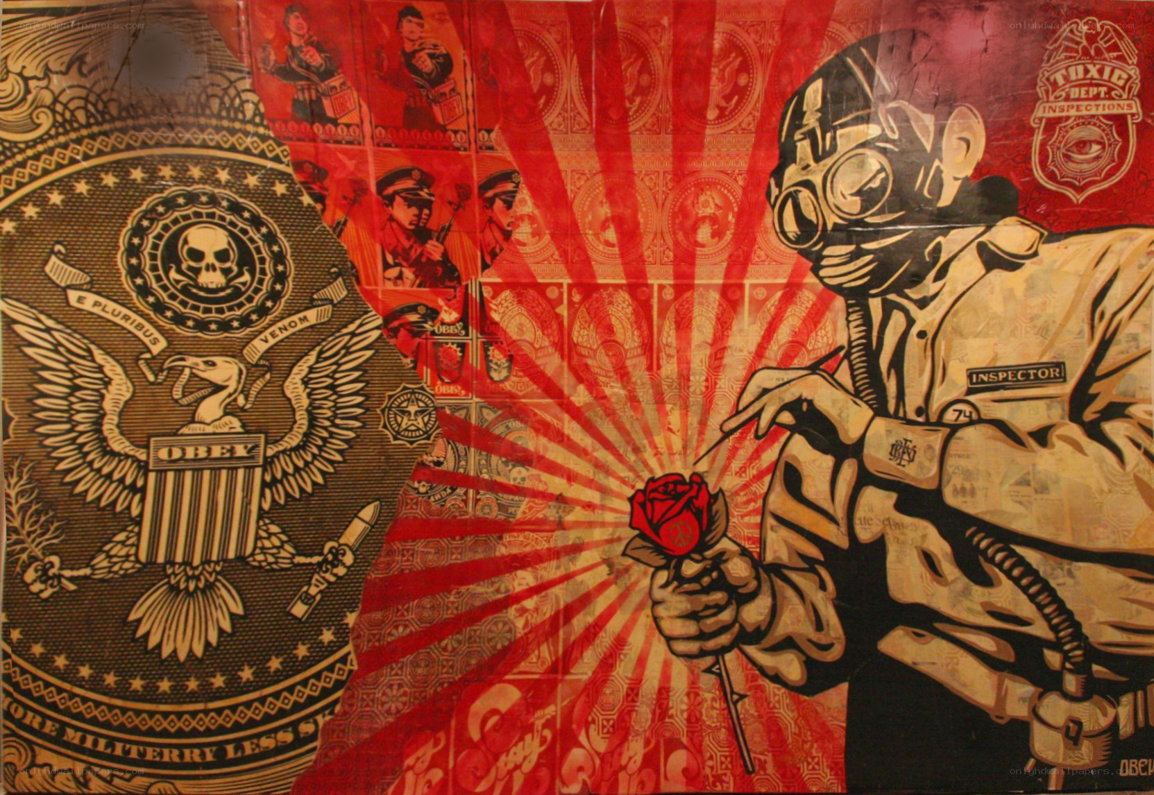 Protest art with rose and eagle