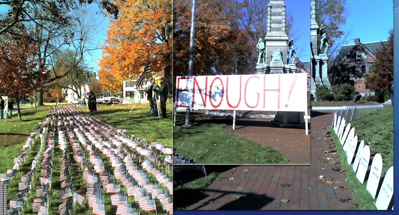 Protest signs and flags in park