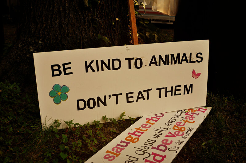 Protest Signs in Grass