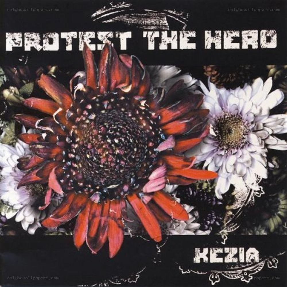 Protest the Hero album cover