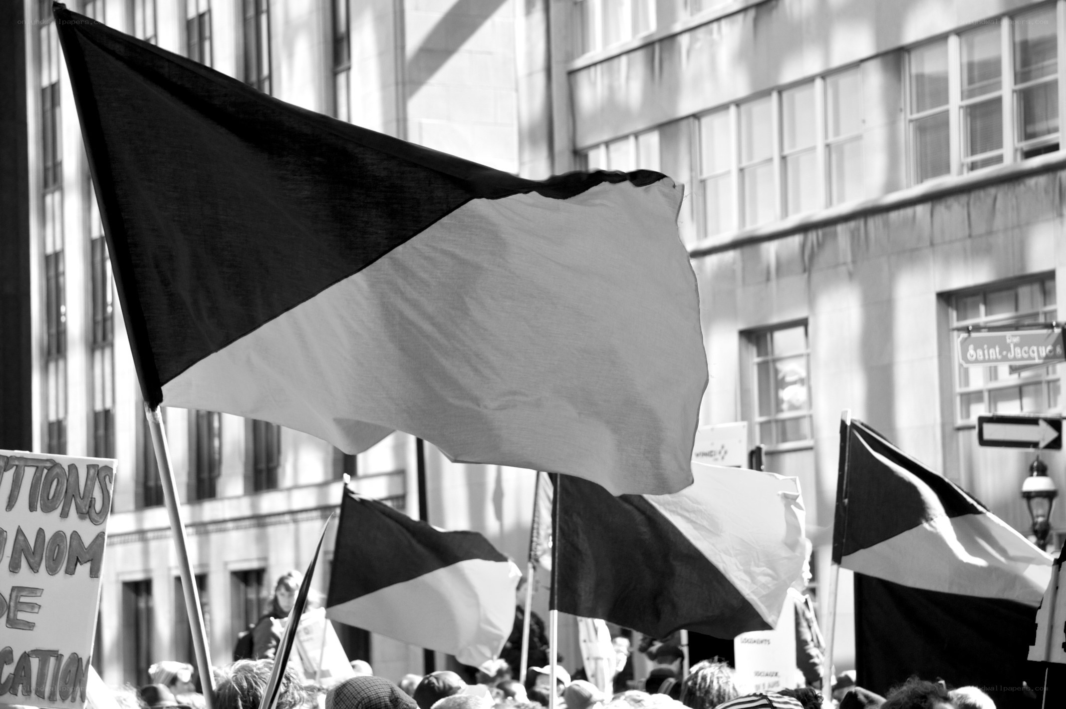 Protest with black and white flags