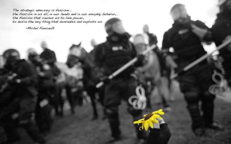 Protest with sunflower