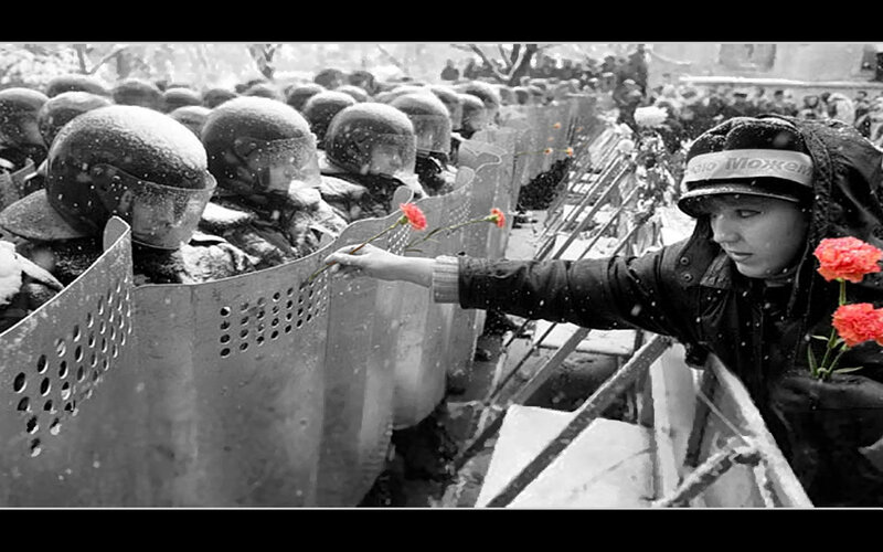 Protester offers flowers to police