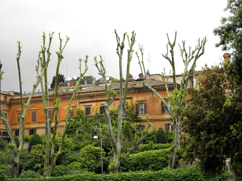 pruned trees in roman garden