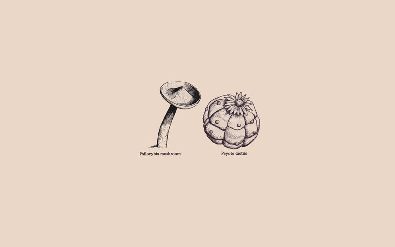 Psilocybin mushroom and peyote cactus