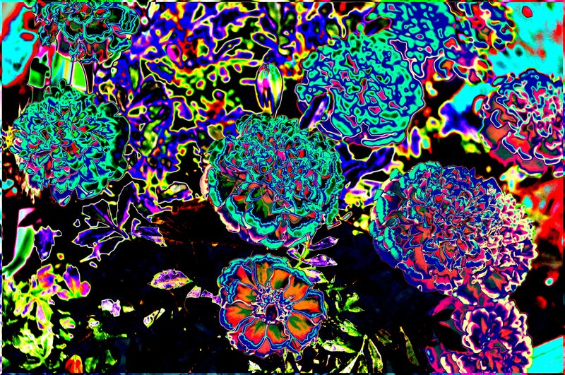 Psychedelic floral pattern