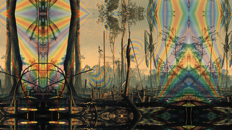 Psychedelic forest landscape