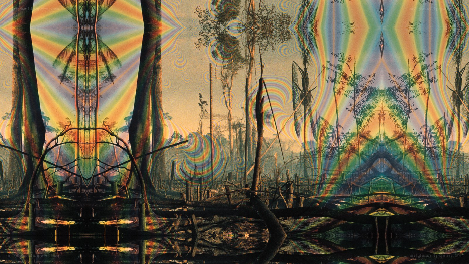 Psychedelic forest landscape