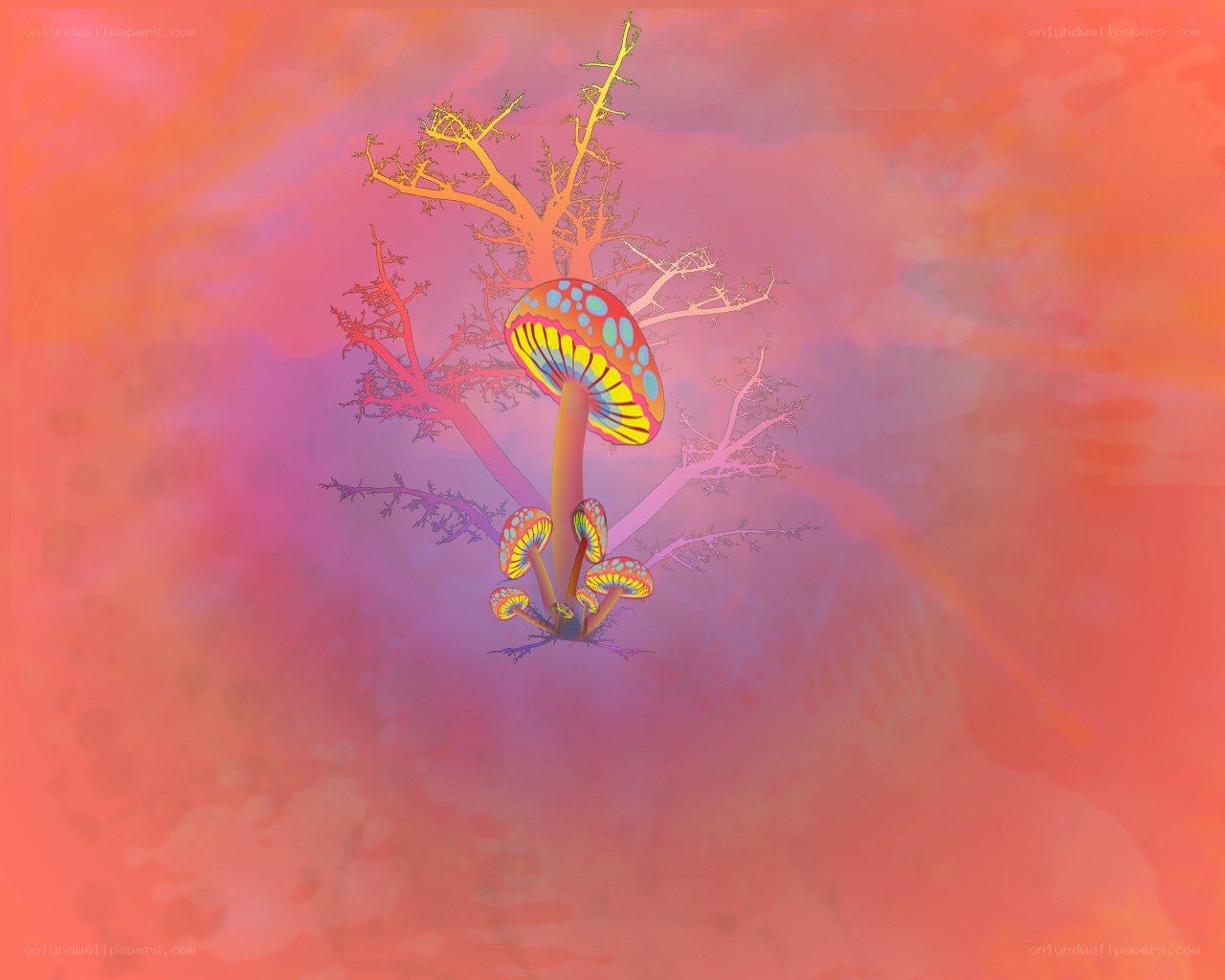 Psychedelic mushroom forest