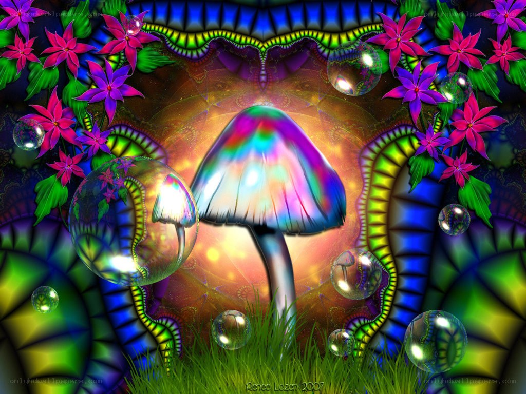 Psychedelic mushroom garden