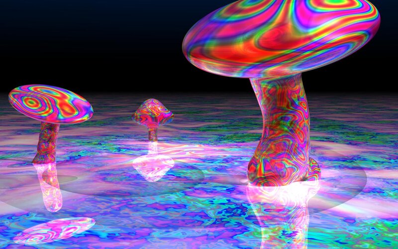 Psychedelic mushroom landscape