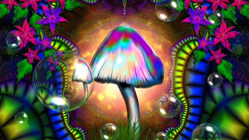 Psychedelic Mushroom — Purple