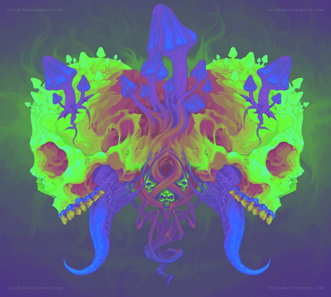 Psychedelic skull and mushroom art