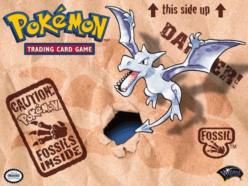 Pteranodon Fossil