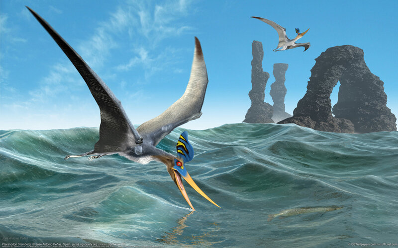 Pteranodon over the ocean