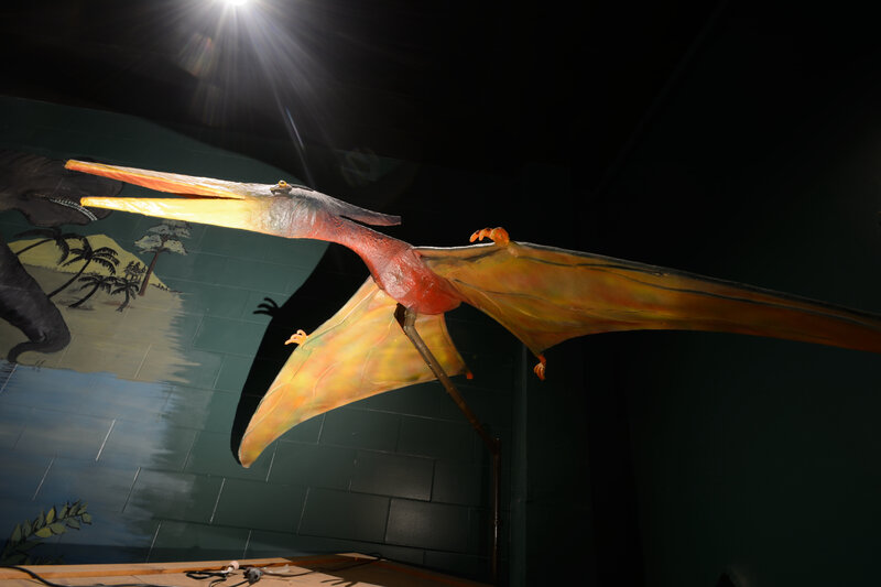 Pterodactyl Model