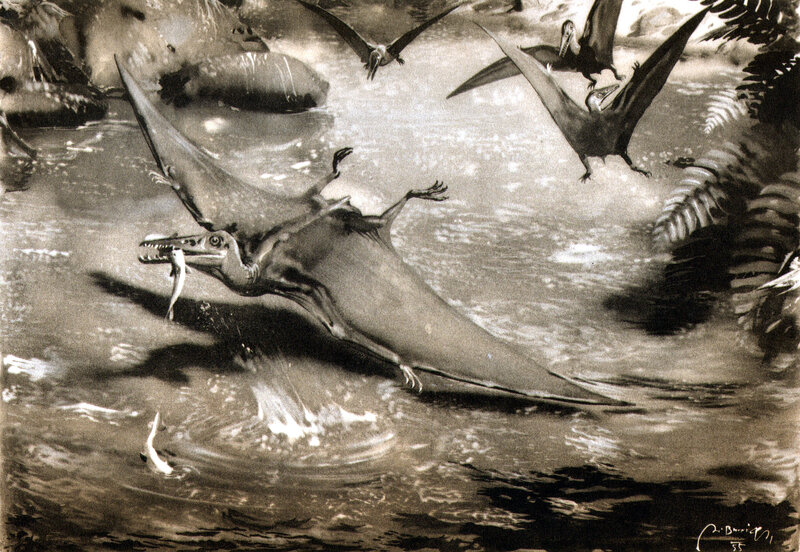 Pterosaur fishing in prehistoric river