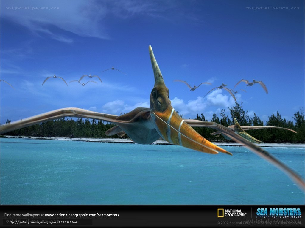 Pterosaur flying over tropical coast