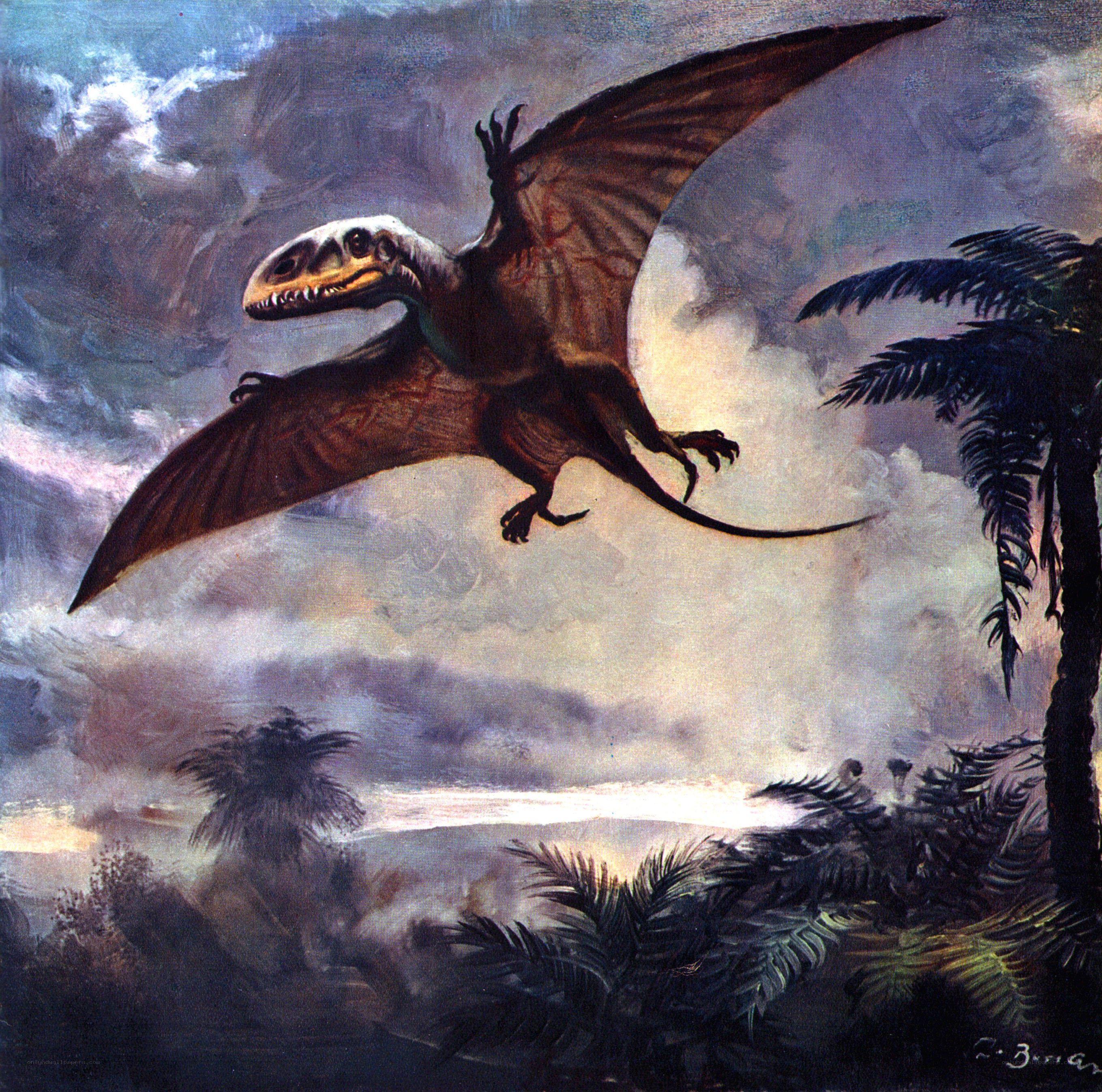 Pterosaur in prehistoric sky