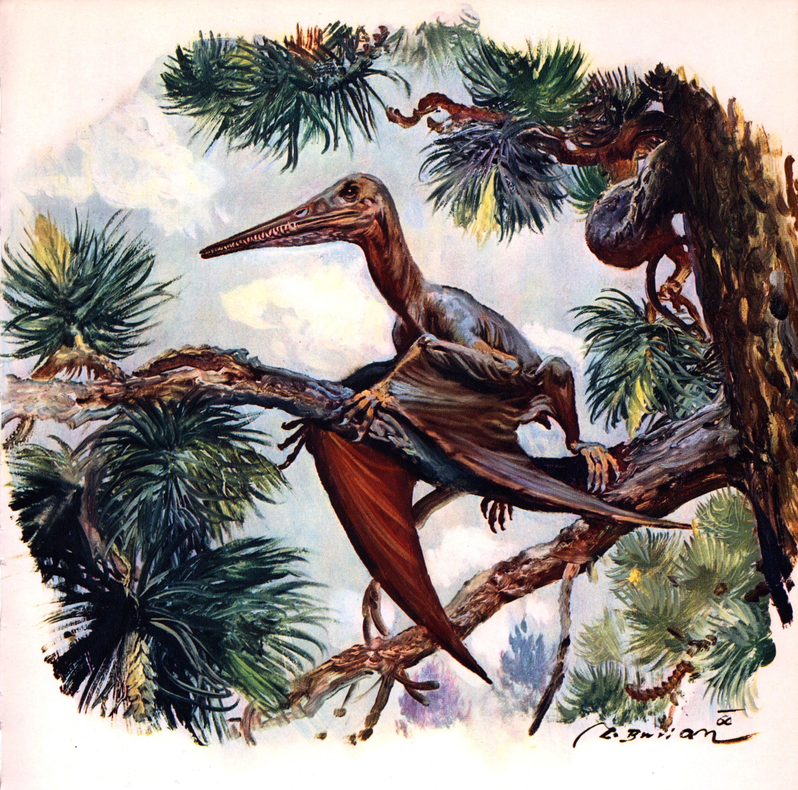 Pterosaur perched on a branch
