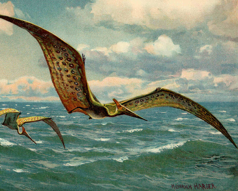 Pterosaurs flying over the ocean