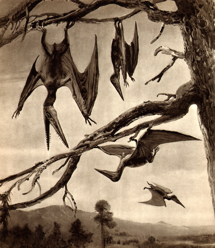 Pterosaurs in prehistoric forest