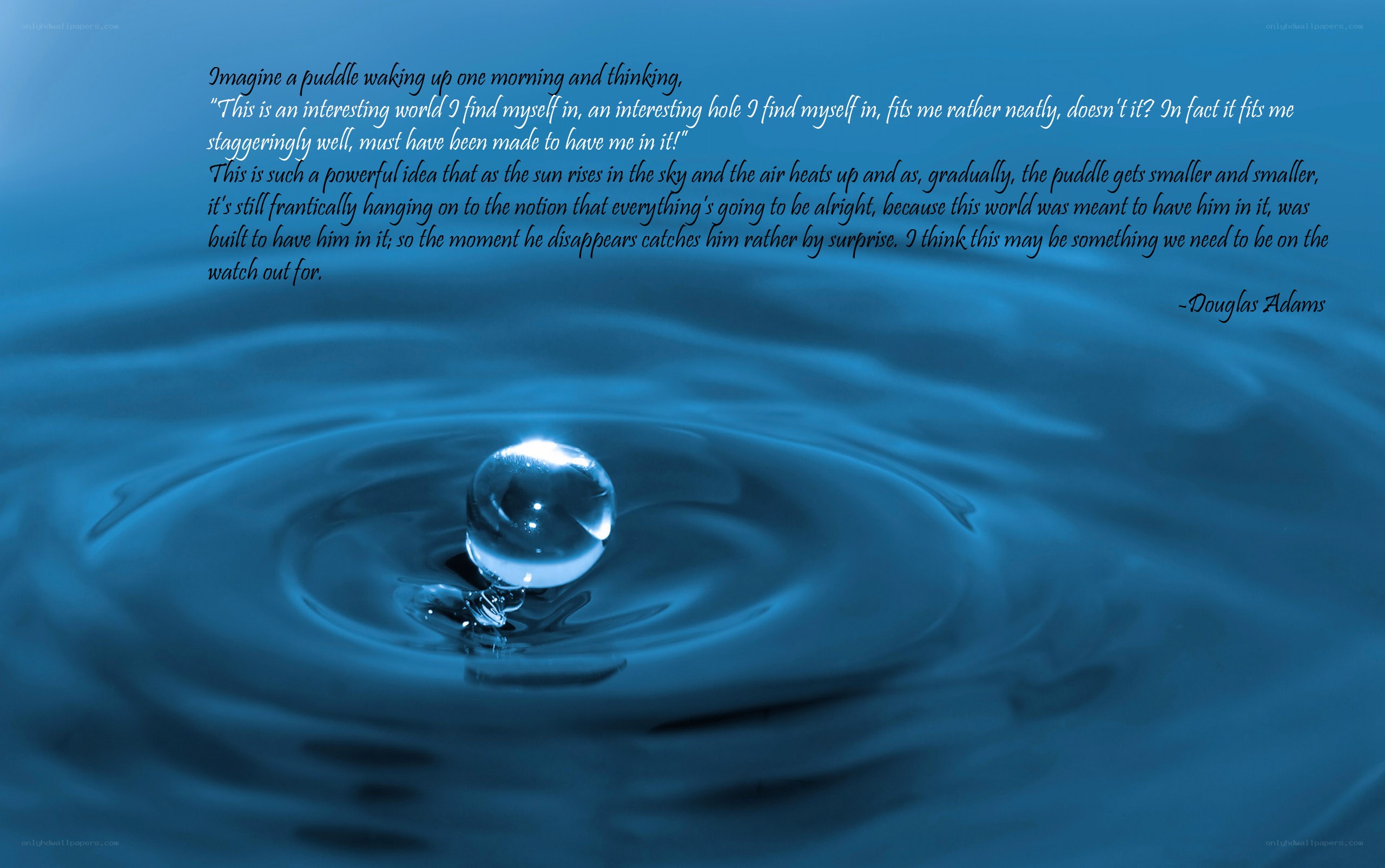 puddle and water drop