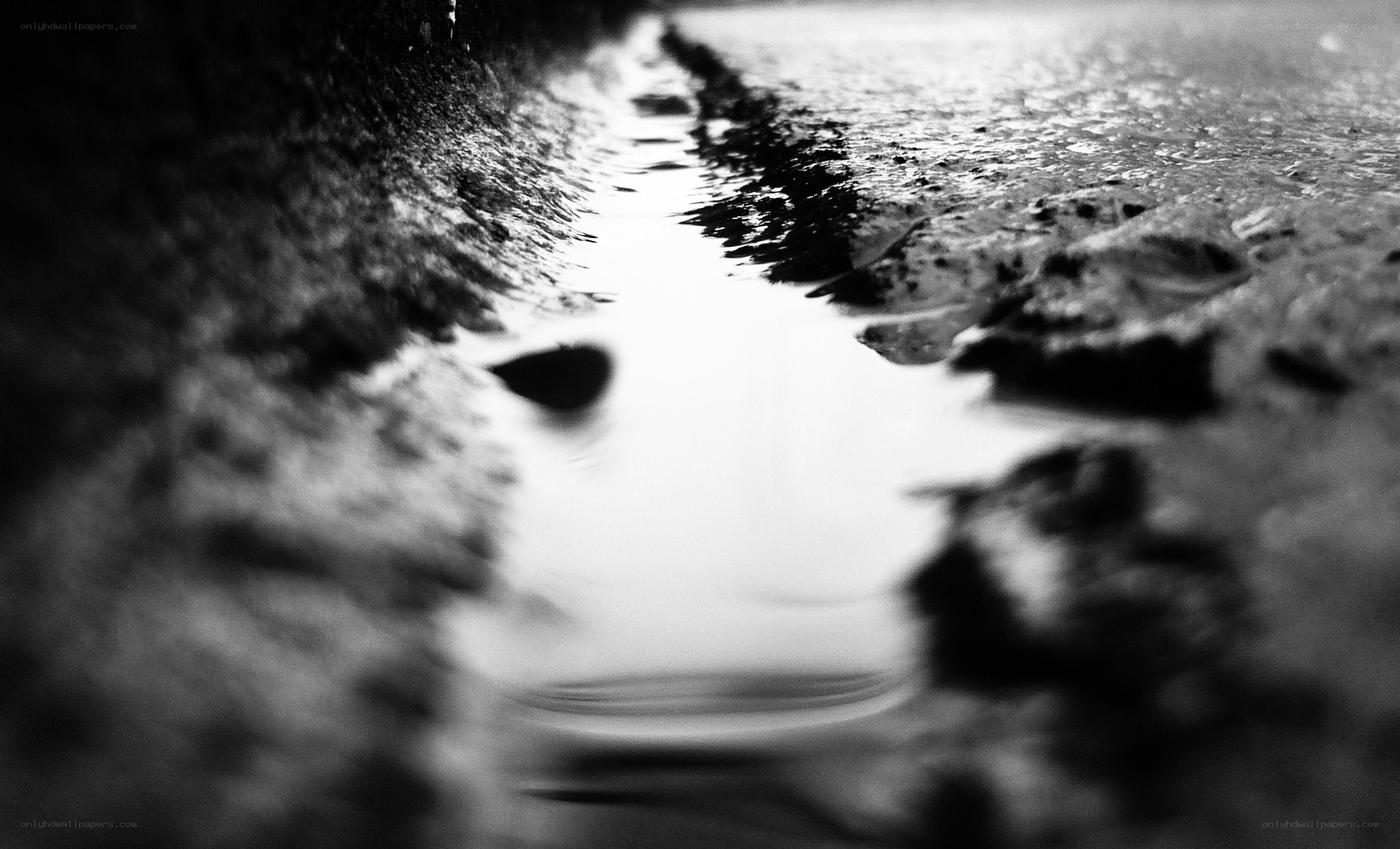 Puddle in a gutter