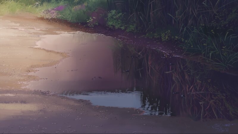 Puddle in a muddy path